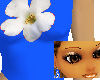 *[JE]* blue tee flower