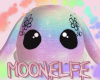 Moonelfe's Bunny