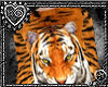 {C} Fierce Tiger Sweater