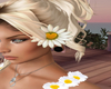 Daisy Love