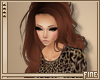 F| Zenolia Ginger