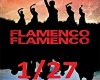 M*Flamenco+Guitar 1/27