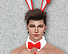 [NiK] Bunny R