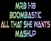 Mr Boombastic rmx