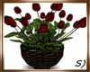 ! Rose Potted Animated