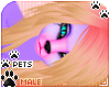 [Pets] Phir | hair v2
