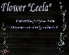 ~S~ Flower "Leela"