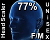 F/M Head Scaler 77%