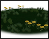 Cabin Grass/Flower Patch