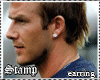 !S!~{david!Earring}~W