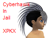 cyberhawk in jail