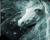 starlight horse