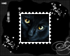 Cat Stamp 4