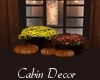 Cabin Decor