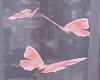 7 Pink Butterflies