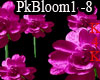 Dj Fushia Pink Flowers