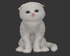 HeadCatPutih
