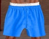 BLUE LONGBOARD SHORTS