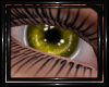 !T! Eyes | Ozias Y