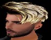 Blond Tips Hairstyle