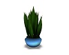 Potted Plant for HD Room