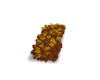 Fall Garden