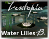 *B* Zentopia Water Lilys