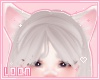 ℓ bangs silver