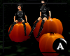 [A]Pumpkin Patch Seats