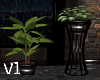 Plants V1