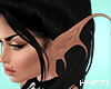 H4 | Elf Ears