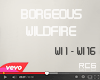 .Borgeous - Wildfire.