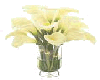 Calla Lillies In Vase