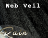 Ether Cobweb Veil