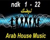 Dysso Arab House