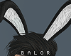 ♛ Bunny King Ears.