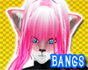 *LK* Krayon Bangs 1