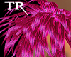 [TR] !Collar Tuff! PP