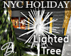*B* NYC Holiday Star Dec