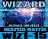 wizzard/martin garrix 