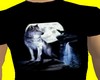 Wolf nightime