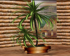 Potted Plant