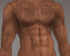 Pagge Skin Tats