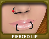 Pierced Lip