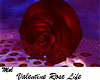 Valentine Rose Life
