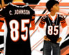 (e) .C.Johnson jersey