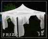 MR Party Tent