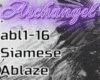 Siamese - Ablaze