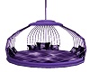 Purple Swing