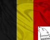 (WW)BelgiumFlagHoodyF